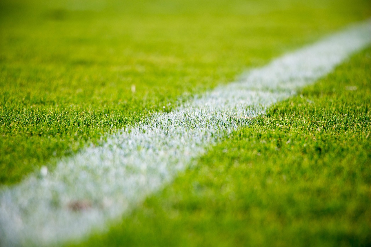 grass, lawn, field, sports, soccer, football, green grass, nature, green football, green sports, green field